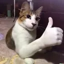 thumbsup