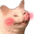 catblushin