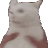 catshake