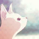 haven_boops