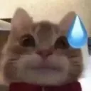 erm