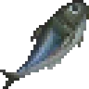 Sardine Sardine