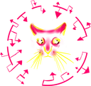 WCKSTRD