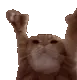 Catting