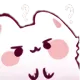 cattoconfused