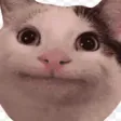 mgtmxKiut