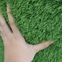 touchgrass