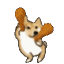 xchicken