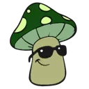 coolshroom