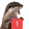 otter_ping