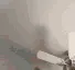 catpanchu