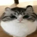 round