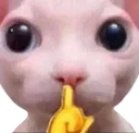 shh