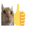 catthumbsup