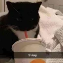 maxwellsippysip