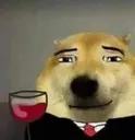 handsomedog