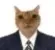 businesskitty