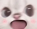 WOWAOWAOWA