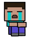 steve_cry Discord Emoji