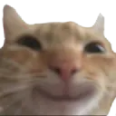 swagHappy