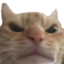 swagMad