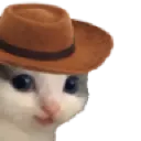 meowdy