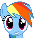 rainbowexcite