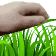 touchgrass
