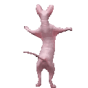 xbingus_dance