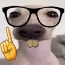 DoggoNerd