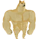 chad_doge