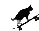 FnT_Cat_Skateboard