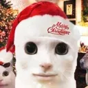 CL_weird_cat_christmas