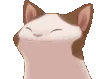 cat_jam