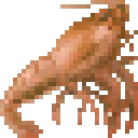 Shrimp