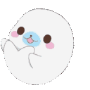 xcute