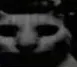 crime