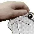 froggopet