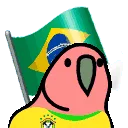 1brparrot