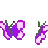 violet_butterflies