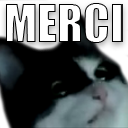 1Taya_MERCI