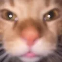 1theomeow Discord Emoji