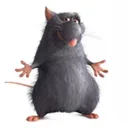 ratatooie