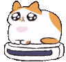 catvacuum Discord Emoji