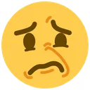 disgust