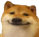 Happy Dog Happy_Dog Discord Emoji
