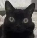 no_laughing_matter