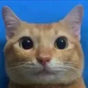 myreaction