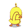 xducky