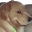 sussy_dog Discord Emoji